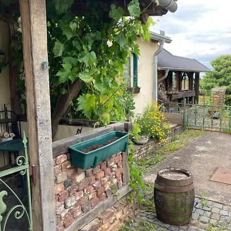 Sternenzauber